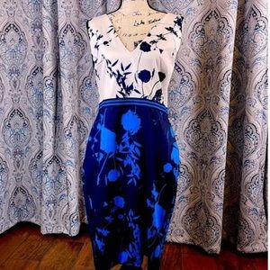 Ted baker blue floral two-tone dress